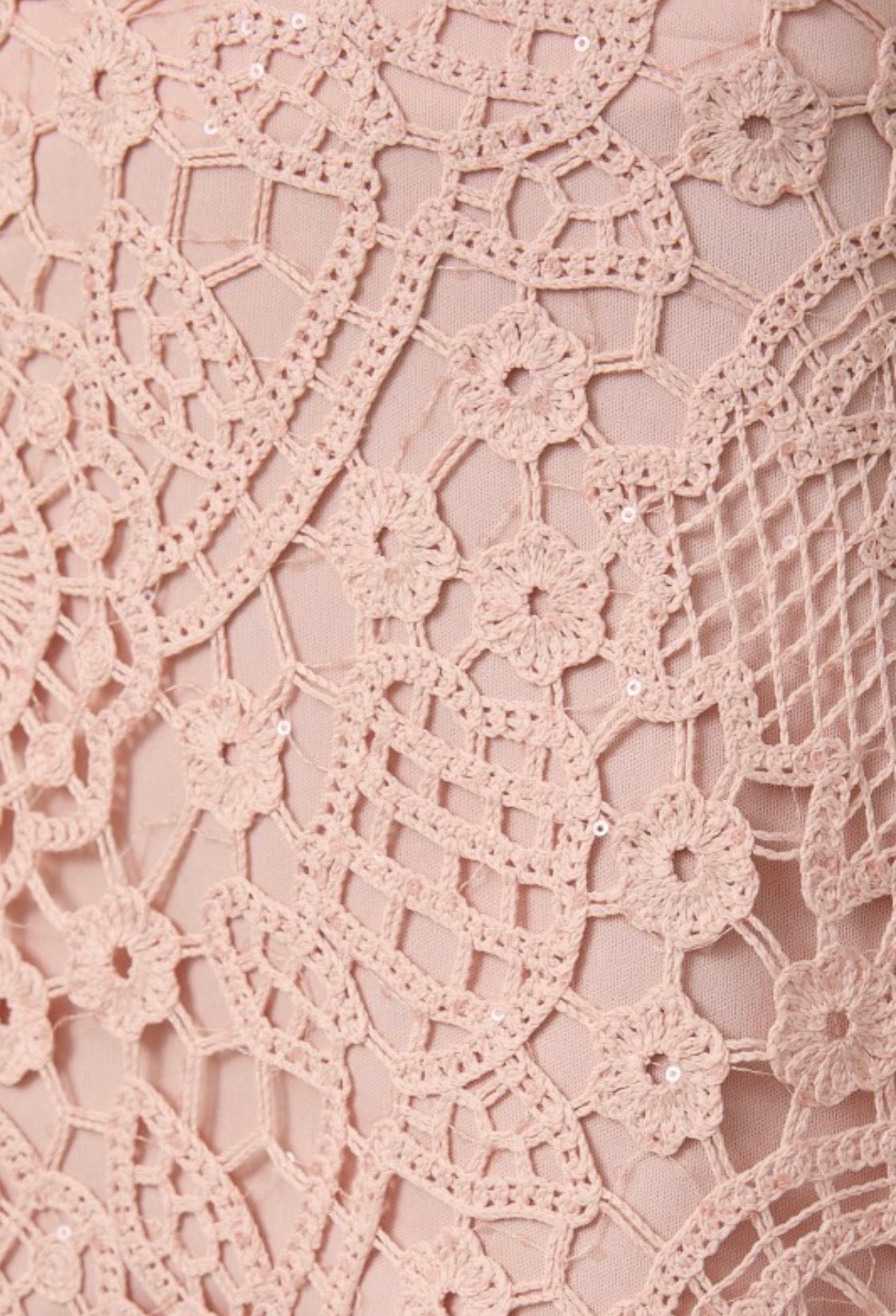 Blush Lace Mini Skirt