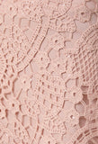 Blush Lace Mini Skirt
