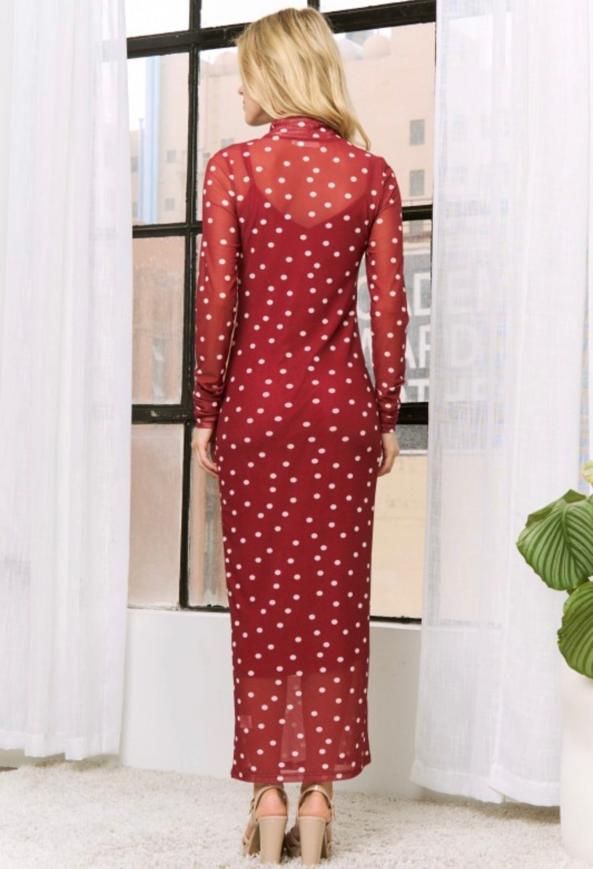 Red Sheer Polka Dot Dress