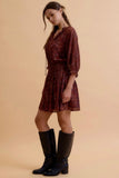 Wine Paisley Dress