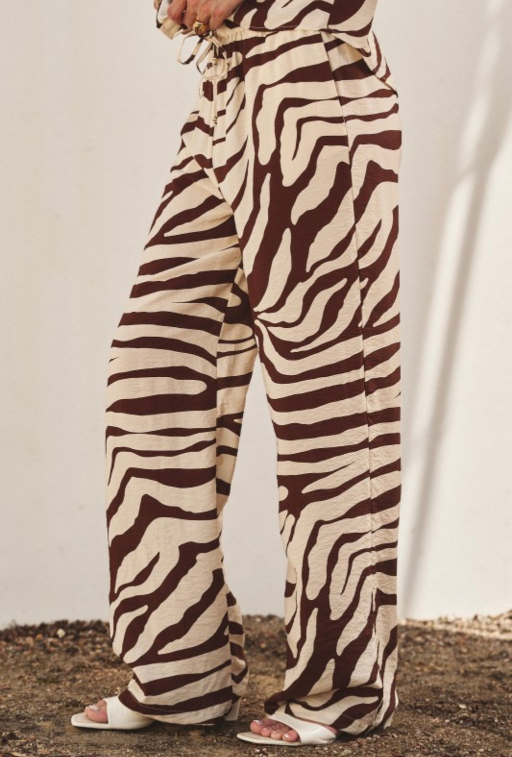 Brown Zebra Print Set
