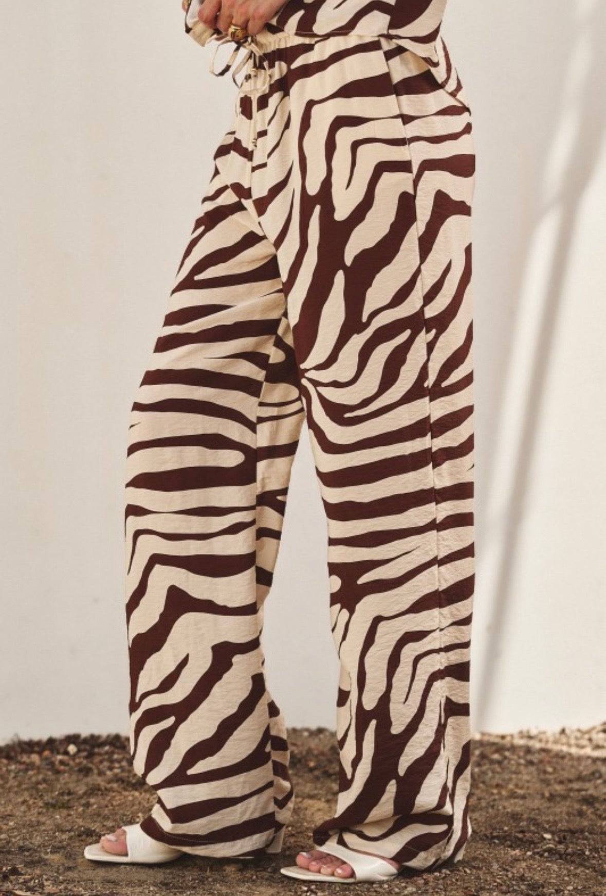 Brown Zebra Print Set