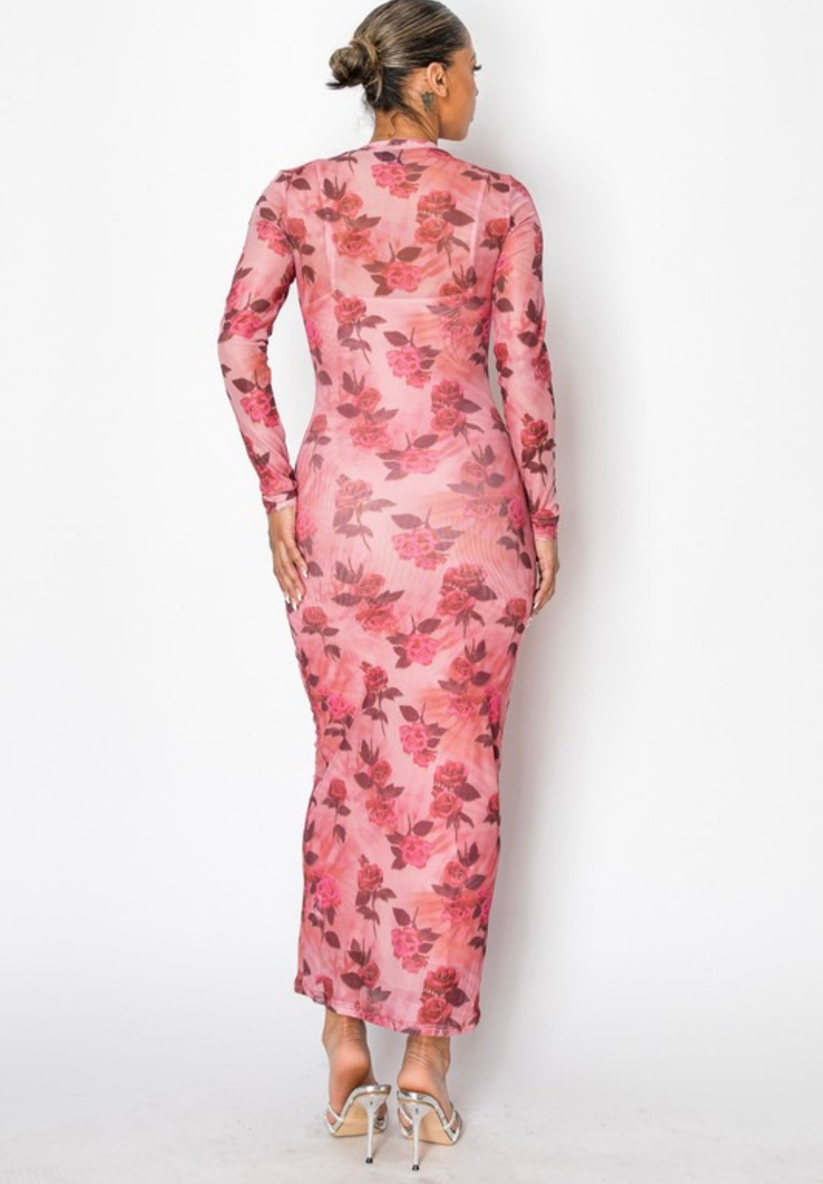 Rose Sheer Maxi Dress