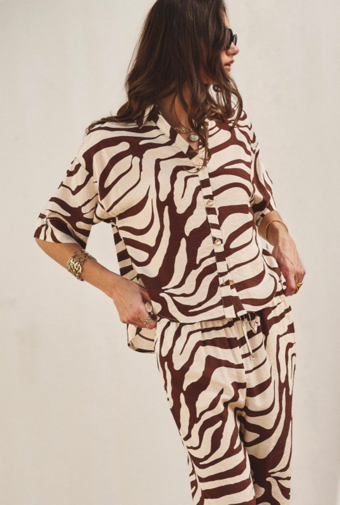 Brown Zebra Print Set