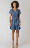 Denim Picnic Dress