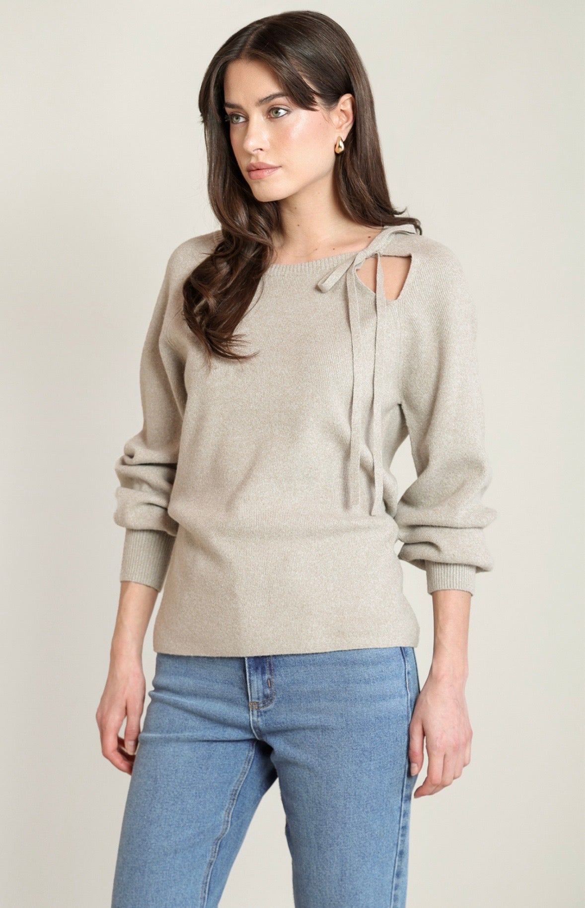 Light Taupe Slit Back Sweater