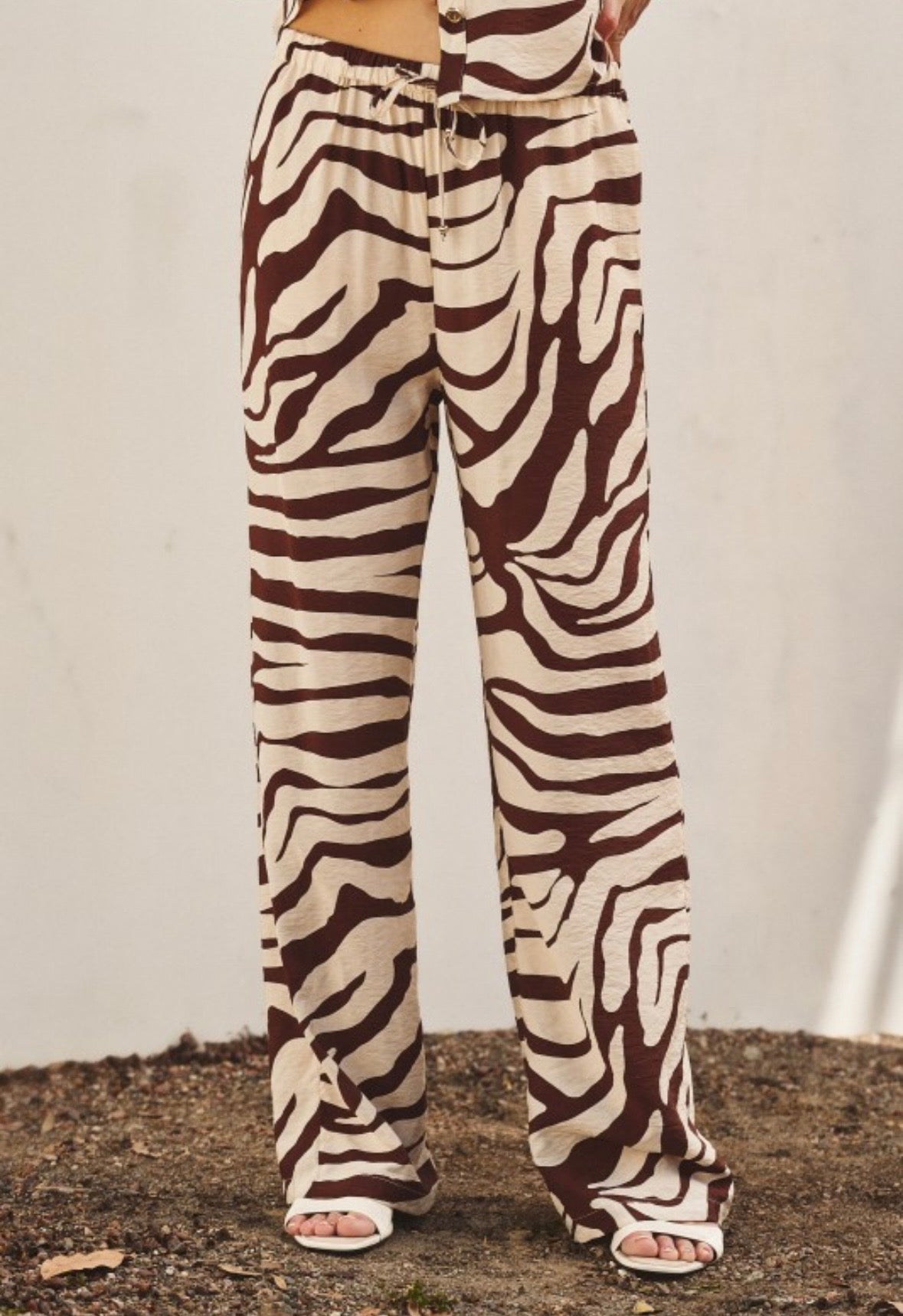 Brown Zebra Print Set