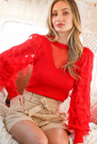 Red Feather Sleeve Sweater