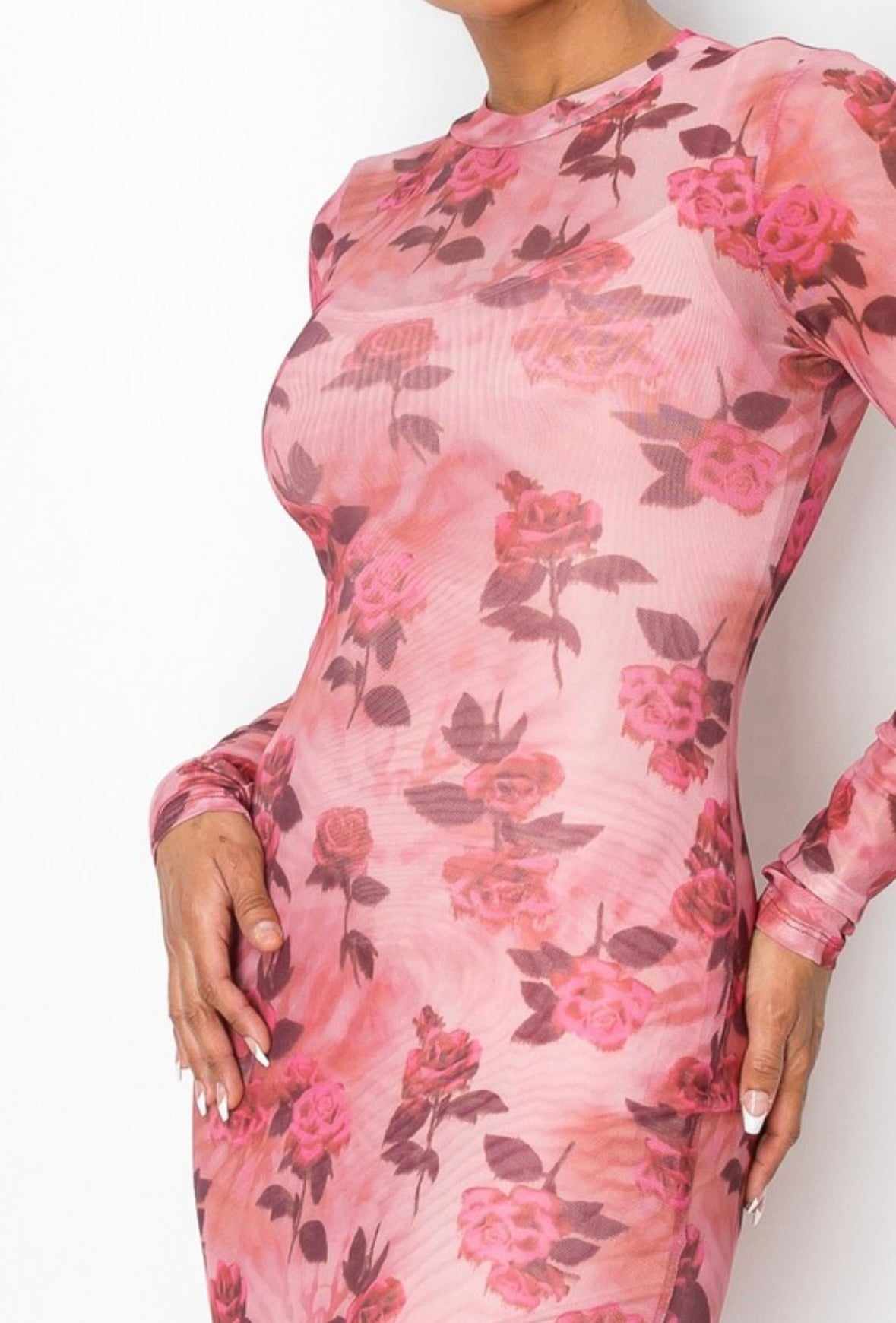 Rose Sheer Maxi Dress